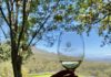 Stellenbosch e Franschhoek: 3 dias nas Winelands