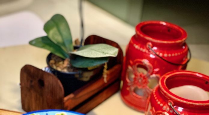 Opção de buffet delicioso no Rio!