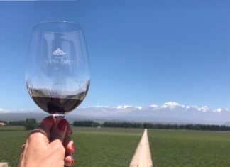 Onde compro meus vinhos no Rio