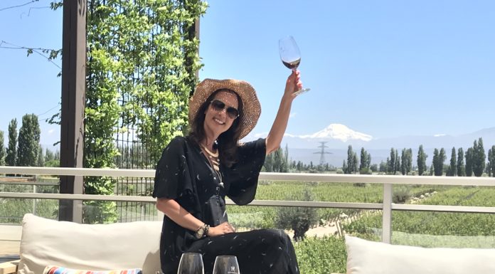 Dicas de vinícolas em Mendoza