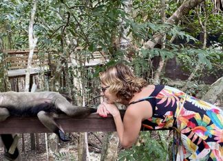Amazônia é natureza na veia!