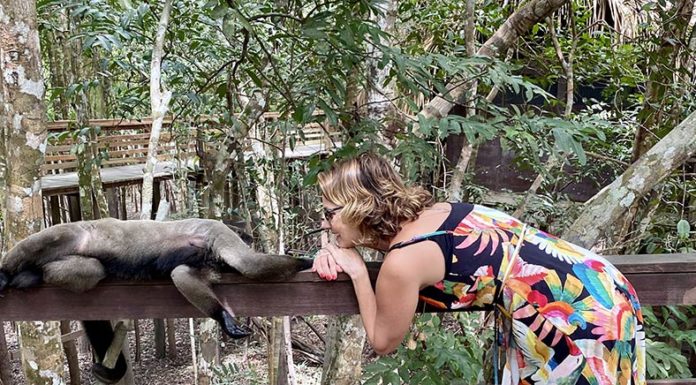 Amazônia é natureza na veia!