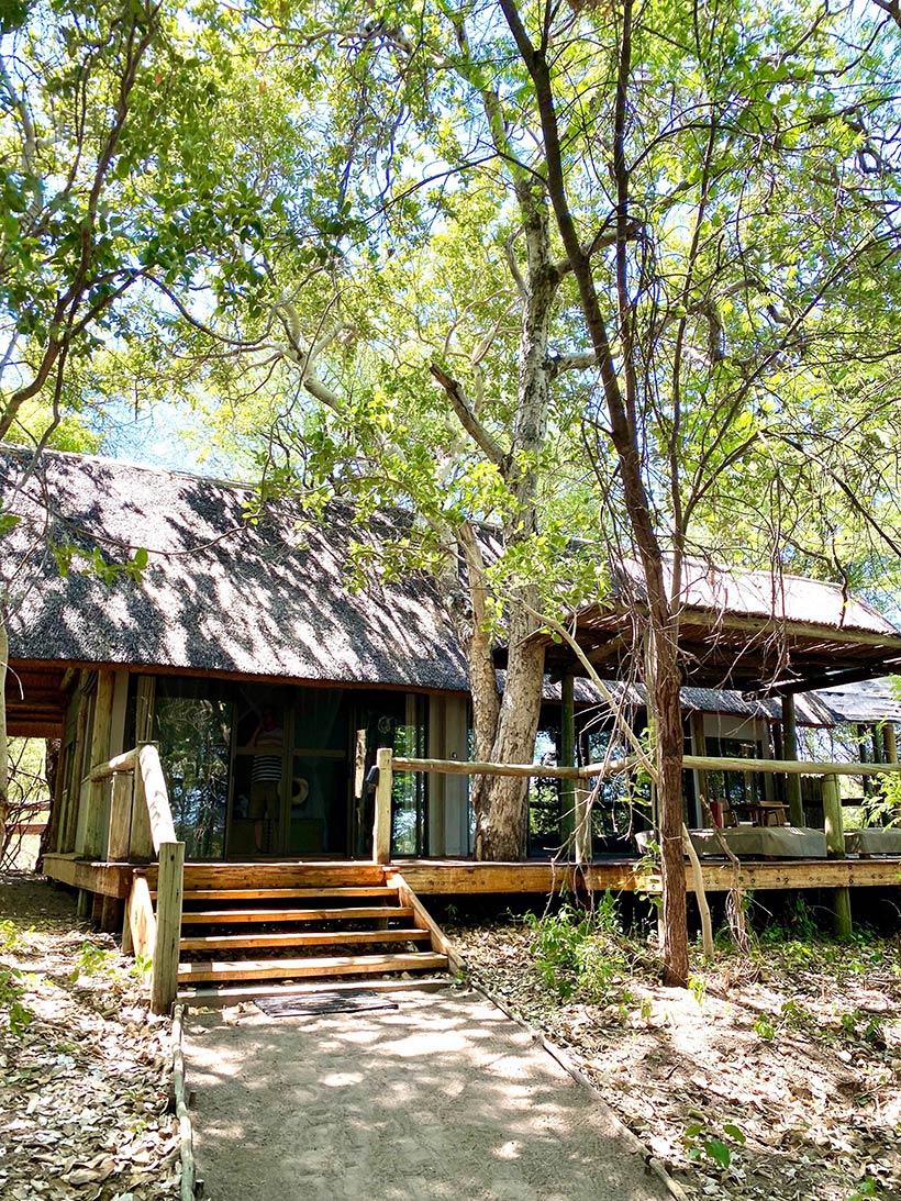 Savute Safari Lodge - apenas 12 chalés