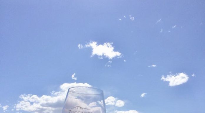 Zuccardi, minha vinícola queridinha de Mendoza