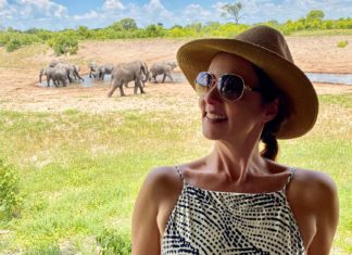 Dicas de Safari em Botsuana! Botsuana