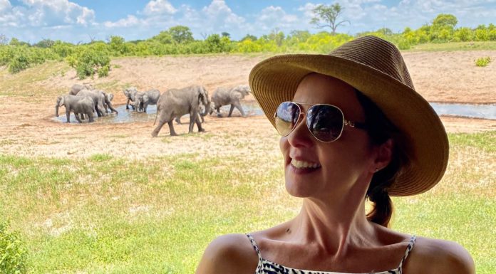 Dicas de Safari em Botsuana! Botsuana