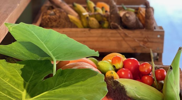 Uma experiência sustentável em Paraty