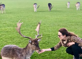 Um fim de semana em Dublin