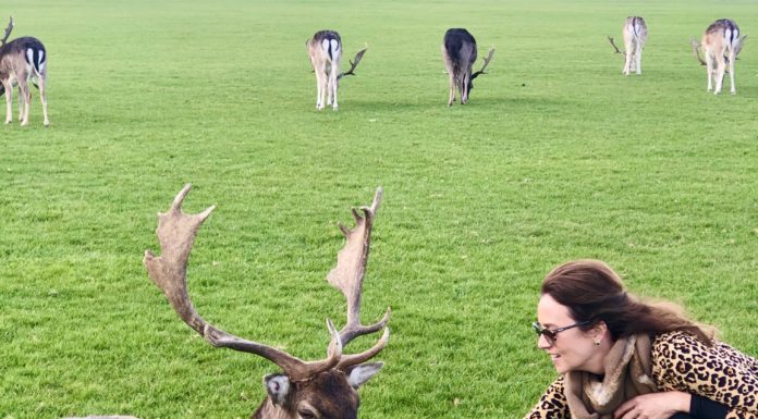 Um fim de semana em Dublin