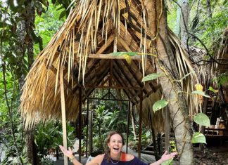 Vila de Alter, pousada boutique no coração da floresta