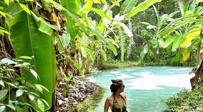 JALAPÃO: BELA, RUDE E GRANDIOSA