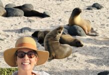 Galápagos: Vida selvagem sem filtro
