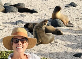 Galápagos: Vida selvagem sem filtro