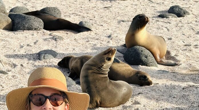 Galápagos: Vida selvagem sem filtro